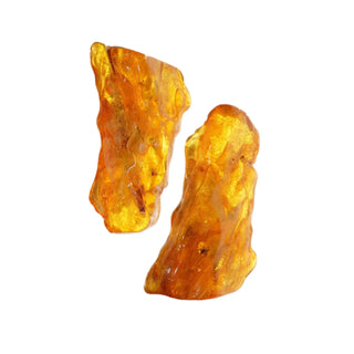 Amber Wood Fragrance Oil by hkPERFUMES