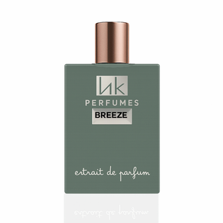Breeze Inspired YSL 6 place saint sulpice Inspired by YSL