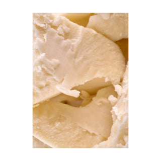 Cocoa Butter hkPERFEUMS