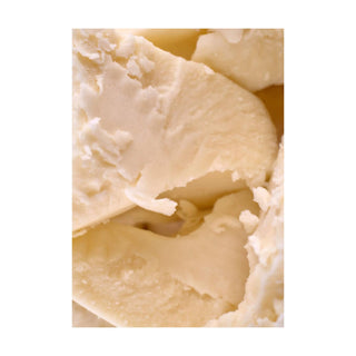 Cocoa Butter hkPERFEUMS