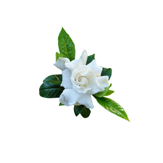 Gardenia Scent hkPERFEUMS