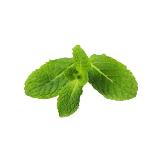 Mint fragrance oil hkPERFEUMS