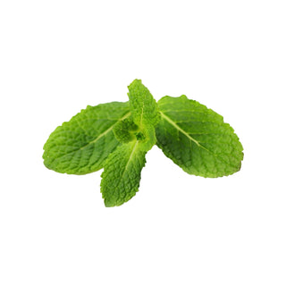 Mint fragrance oil hkPERFEUMS