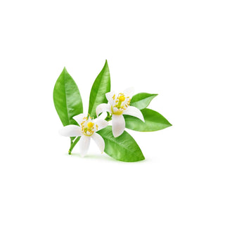 Neroli hkPERFEUMS