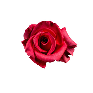 Oriental Rose fragrance oil hkPERFEUMS