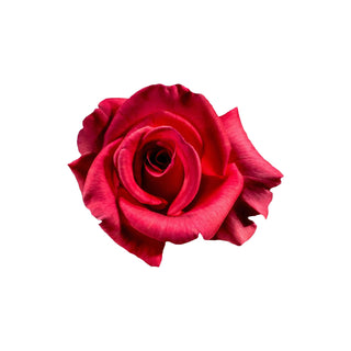 Red Rose fragrance- hkPERFUMES