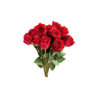 Swiss Ward hkPERFEUMS