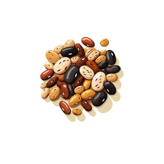 Tonka Beans fragrance oil fragrance making