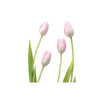 Tulip fragrance- hkPERFUMES