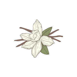 Vanilla Scent - hkPERFUMES