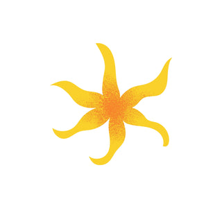 Ylang Ylang fragrance oil hkPERFEUMS